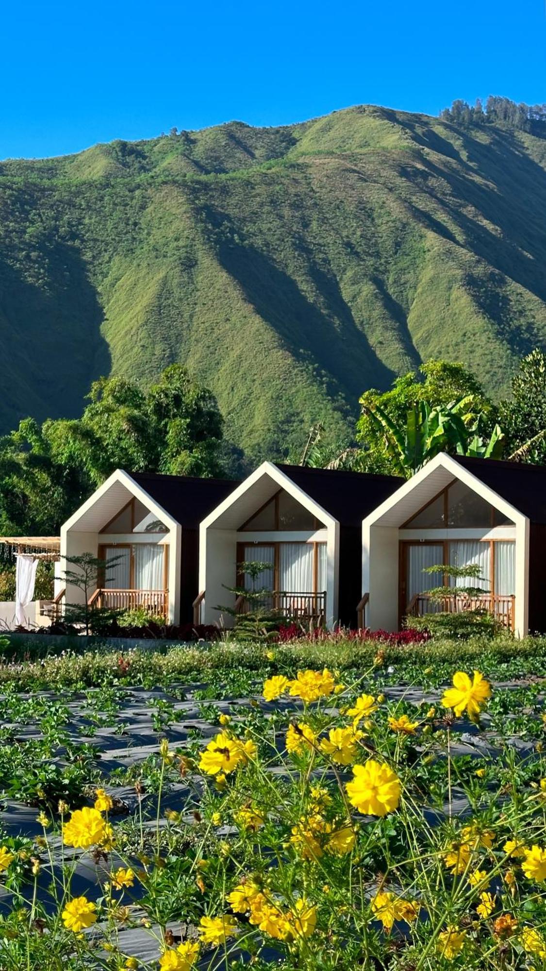 Rautani Sembalun Apartment Sembalunlawang Bagian luar foto