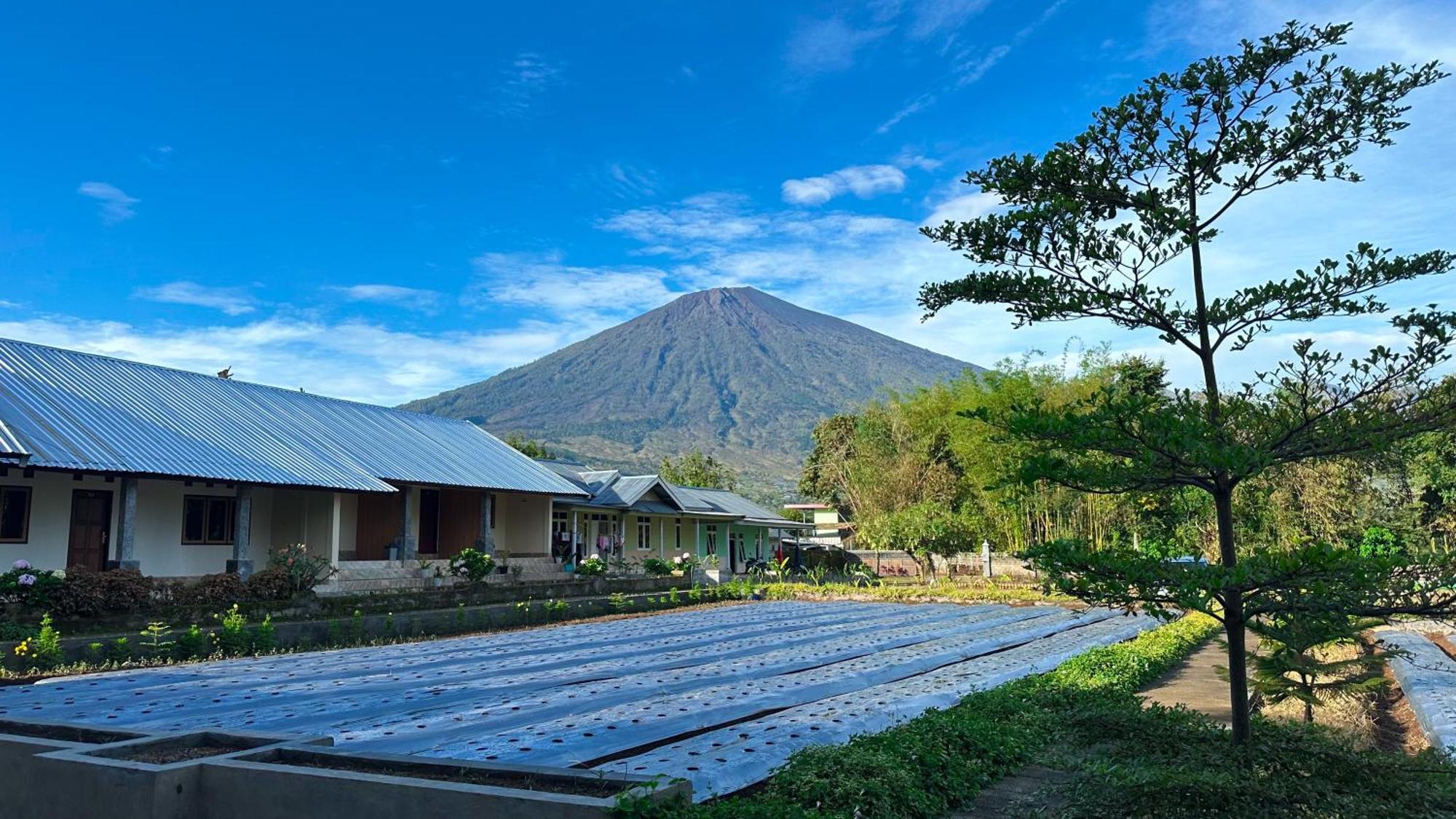 Rautani Sembalun Apartment Sembalunlawang Bagian luar foto